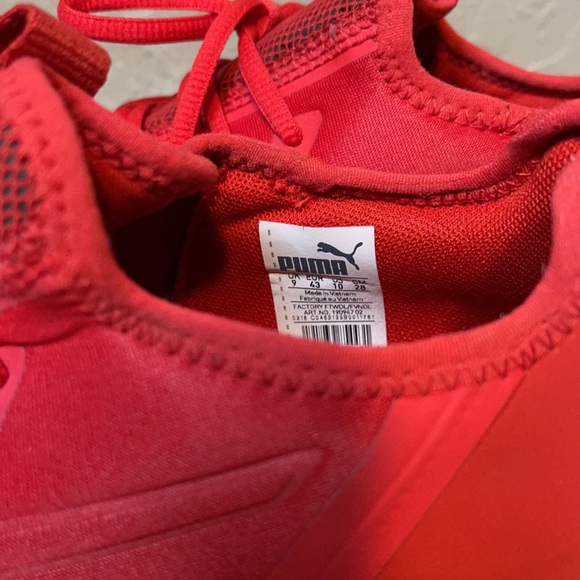 Red Puma - Picture 4 of 6